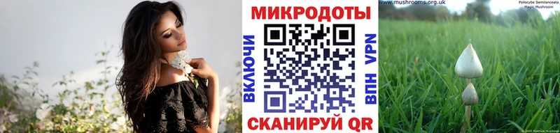 Псилоцибиновые грибы MAGIC MUSHROOMS  Черногорск 